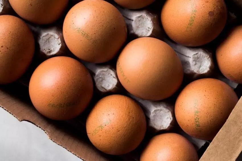 Yumurtaların üzerindeki kod ne anlama geliyor?