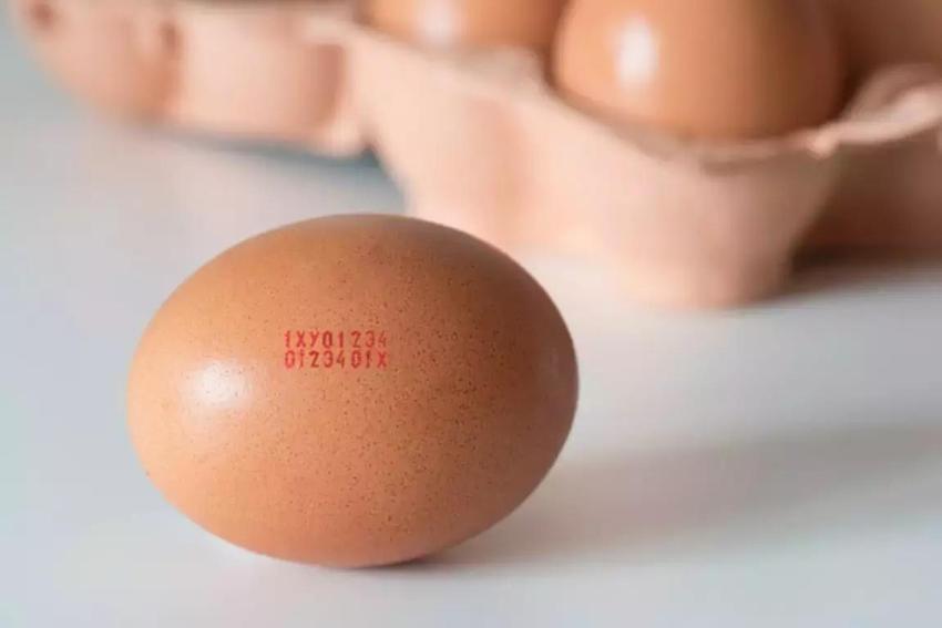 Yumurtaların üzerindeki kod ne anlama geliyor?