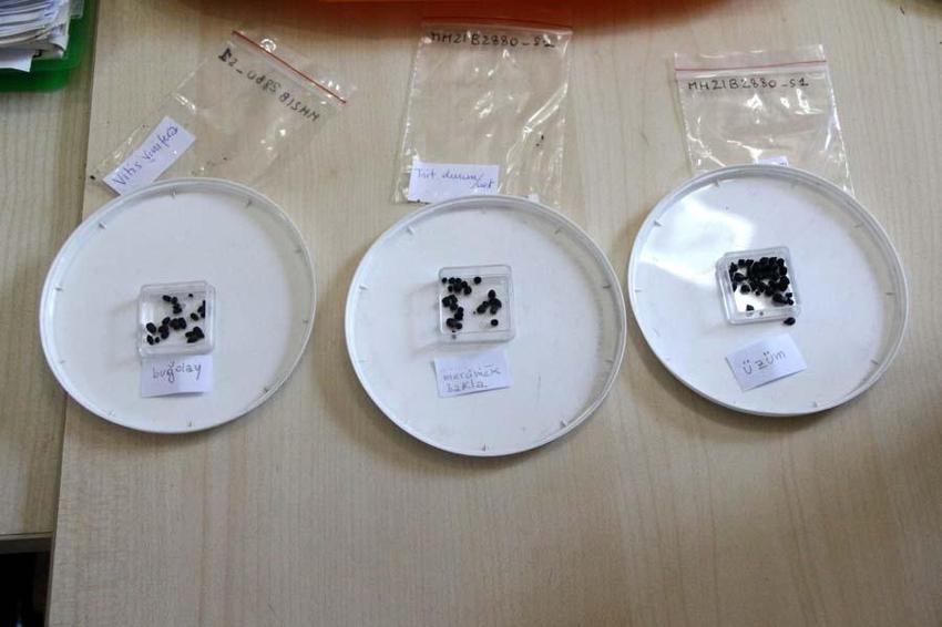 Adana'da bulundu! Tam 3 bin yıl öncesine ait olduğu ortaya çıktı