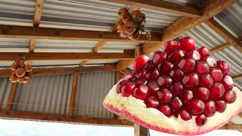 Türkiye'de eşi benzeri yok sadece Adana'da üretiliyor! Kanser dahil birçok hastalıktan koruyor