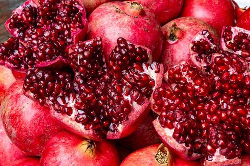 Sadece Kozan'da üretiliyor! Türkiye'de eşi benzeri yok