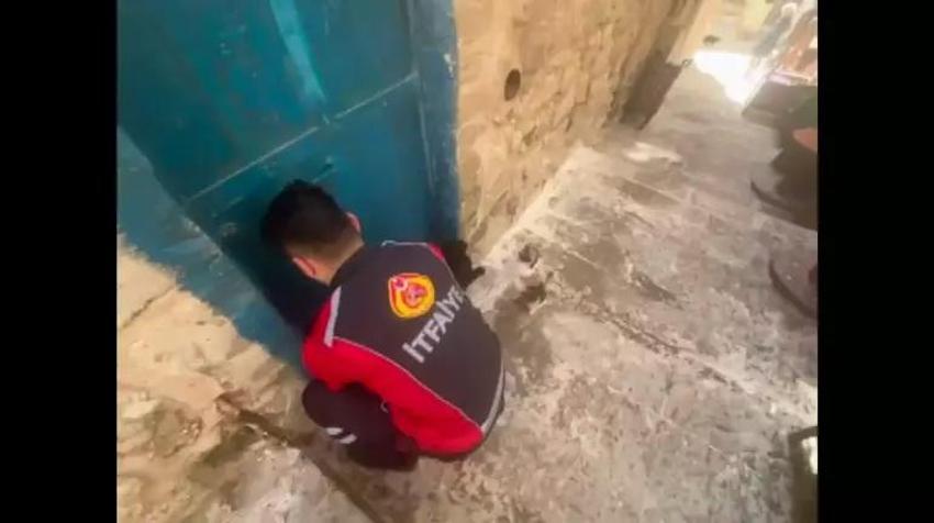 Bir haftadır evde mahsur kalan kedi sahibi ikna edilerek kurtarıldı