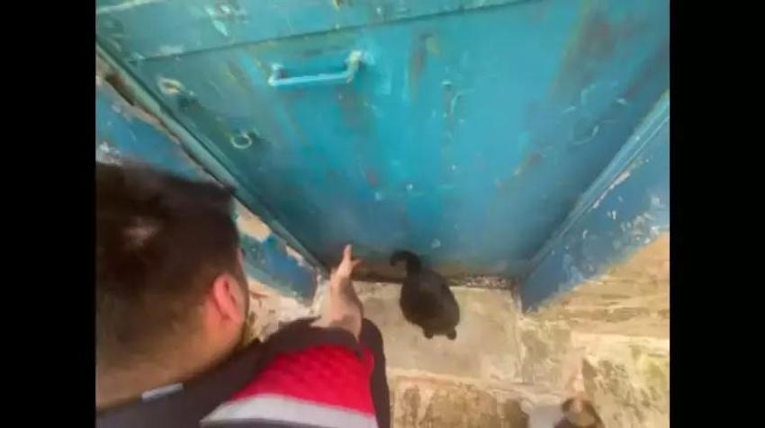Bir haftadır evde mahsur kalan kedi sahibi ikna edilerek kurtarıldı