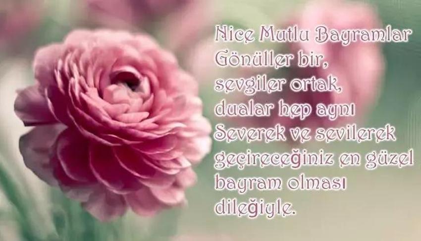 Bayrama özel mesajlar 2024: En anlmlı, öz, dualı Ramazan Bayramı mesajları, sözleri! | Dini bayramlaşma tebrikleri