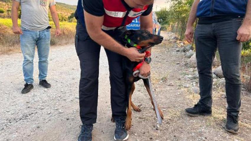 Korhan Berzeg'in ailesinden flaş karar! 'Artık umudumuz kalmadı' deyip kilit vurdular