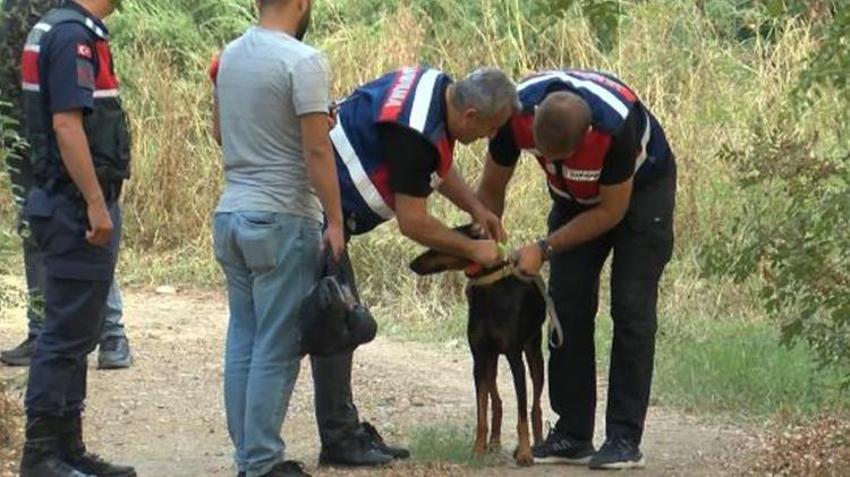 Korhan Berzeg'in ailesinden flaş karar! 'Artık umudumuz kalmadı' deyip kilit vurdular