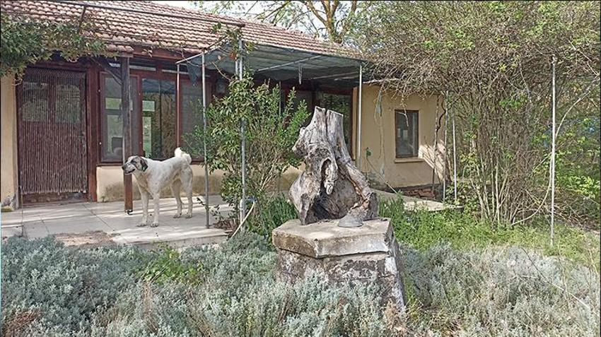 Korhan Berzeg'in ailesinden flaş karar! 'Artık umudumuz kalmadı' deyip kilit vurdular