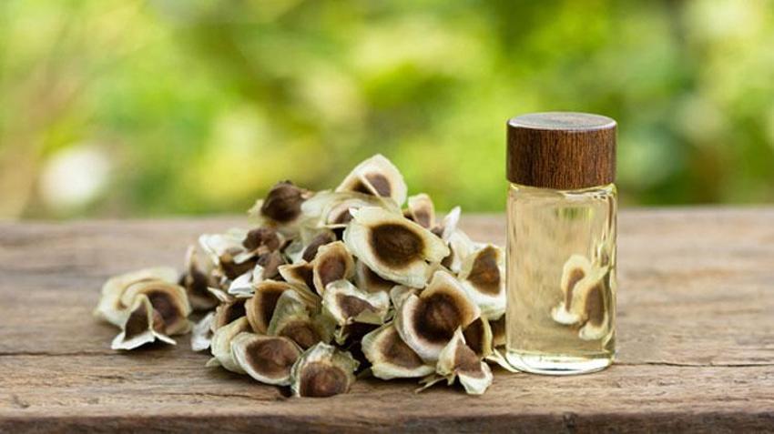 Kırışıklıklardan eser bırakmıyor, 1 kaşığı 10 yaş gençleştiriyor! Anavatanı Himalayalar olan Moringa yağının faydaları saymakla bitmiyor
