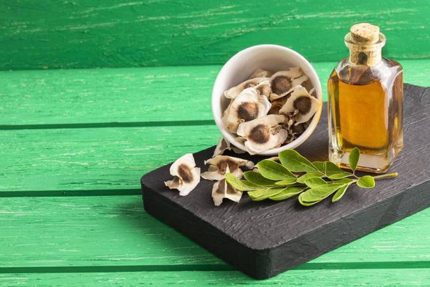 Kırışıklıklardan eser bırakmıyor, 1 kaşığı 10 yaş gençleştiriyor! Anavatanı Himalayalar olan Moringa yağının faydaları saymakla bitmiyor