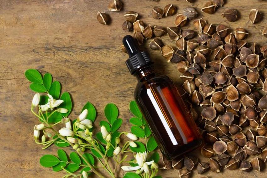 Kırışıklıklardan eser bırakmıyor, 1 kaşığı 10 yaş gençleştiriyor! Anavatanı Himalayalar olan Moringa yağının faydaları saymakla bitmiyor