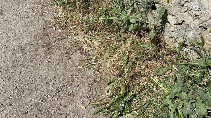 Döverek öldürdüğü arkadaşının cesedini mezarlığa bırakıp kaçtı