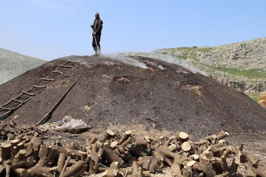 Çukurova sıcağında narenciye odunları mangal kömürüne dönüşüyor! Günler sürüyor