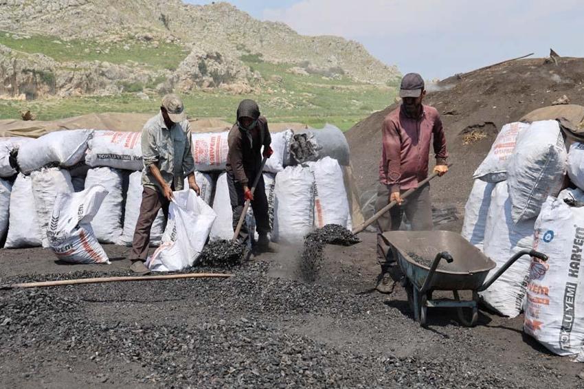 Çukurova sıcağında narenciye odunları mangal kömürüne dönüşüyor! Günler sürüyor