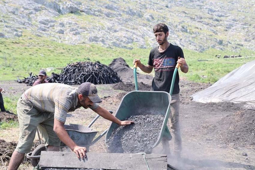 Çukurova sıcağında narenciye odunları mangal kömürüne dönüşüyor! Günler sürüyor