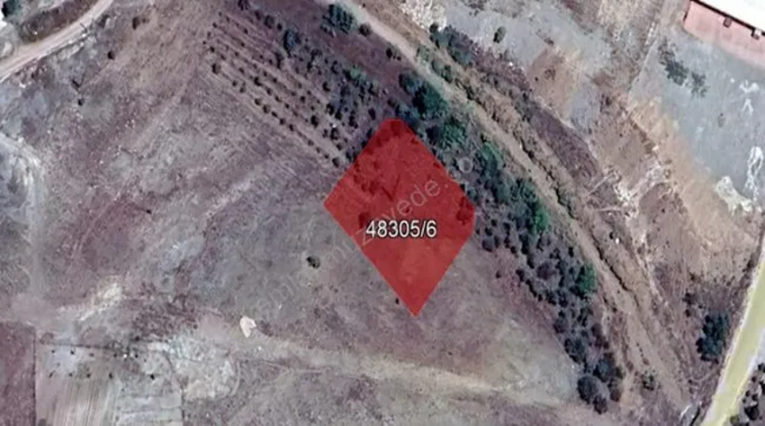 50 ilde ucuz arsa için büyük fırsat! İşte Kentsel Dönüşüm Başkanlığından ucuz arsa fiyatları ve yerleri