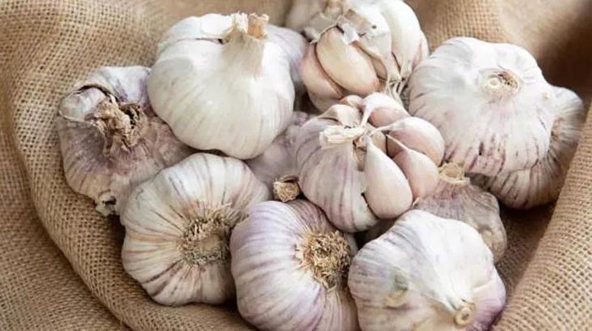 Uçuk geçiren doğal yöntemde süre sadece 10 dakika - Virüs, bakteri ve mantarı yakıp kavuruyor