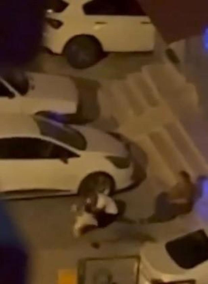 Adana'da evden kaçan pitbull dehşeti: İki kişiyi yaraladı