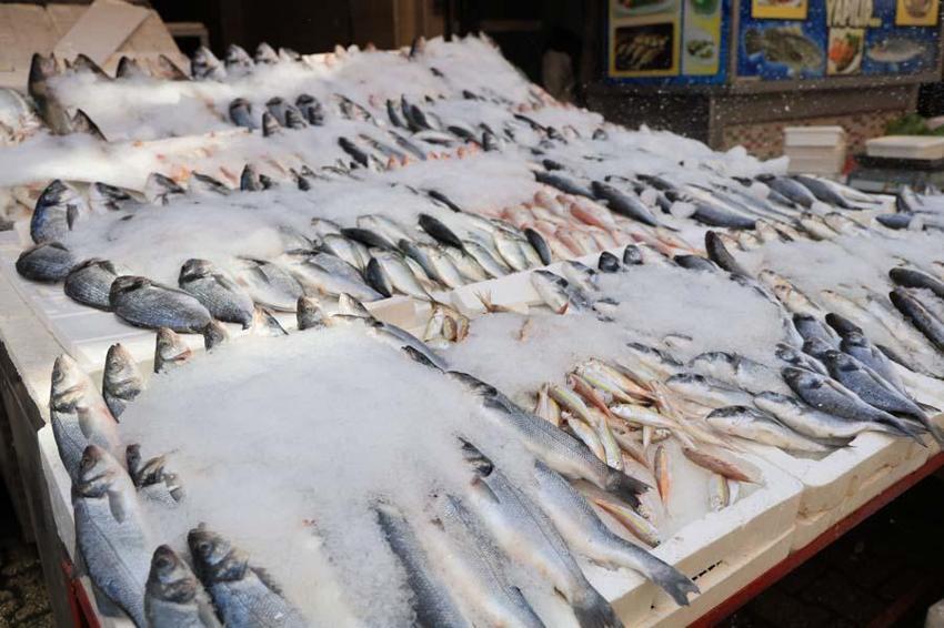 Kebabın başkentinde levrek ve çipura da tüketiliyor! Çeşitlilik azaldı fiyatlar yükseldi