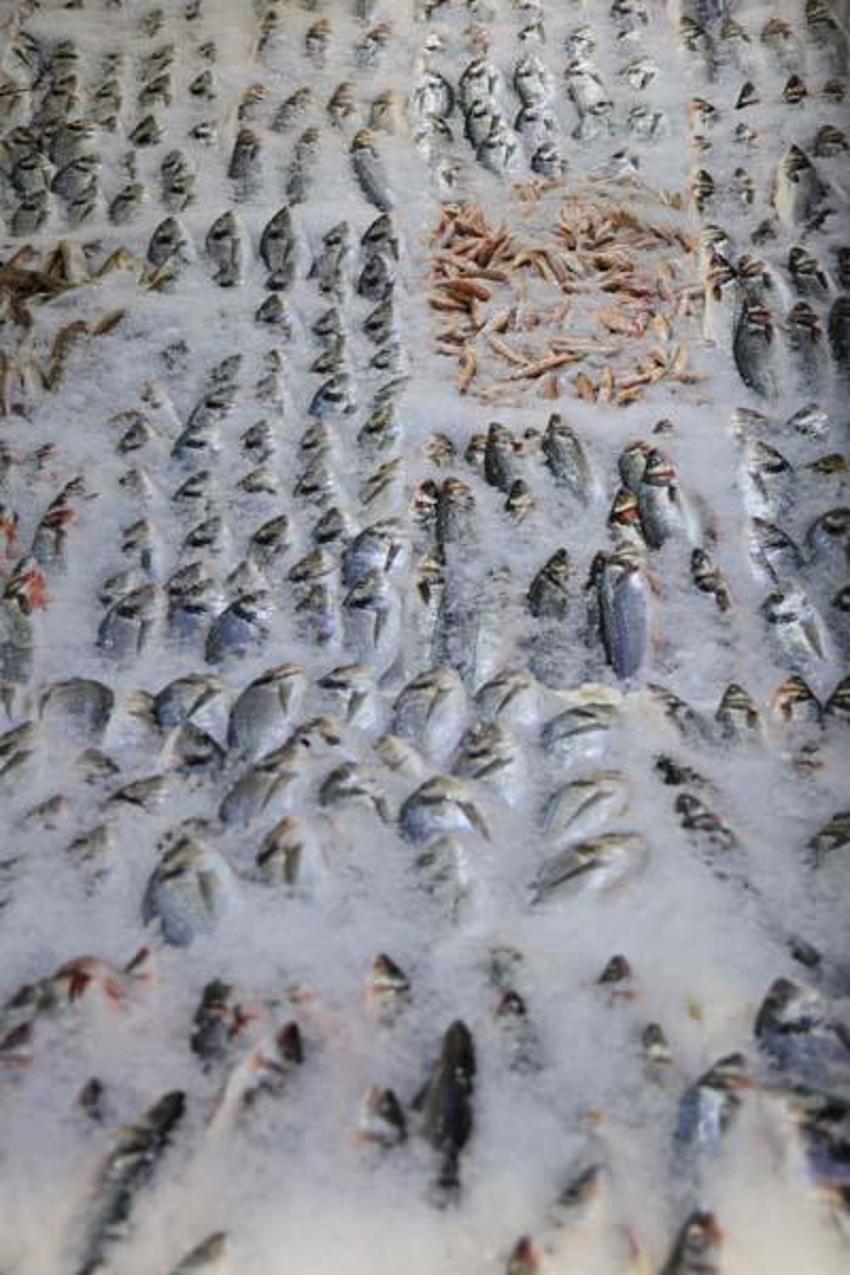 Kebabın başkentinde levrek ve çipura da tüketiliyor! Çeşitlilik azaldı fiyatlar yükseldi