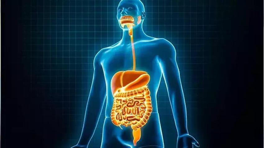 Hızlı yemenin vücutta yarattığı 5 tahribat