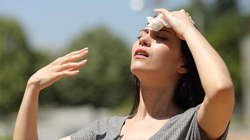 Adana’da sıcaklar artıyor, tehlike yaklaşıyor: Kene ısırmalarına karşı dikkat! Birçok hastalığa yol açıyor!