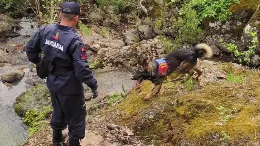 Korhan Berzeg gizemiyle ilgili sıcak gelişme: Kızından alınan DNA örnekleri eşleşti!