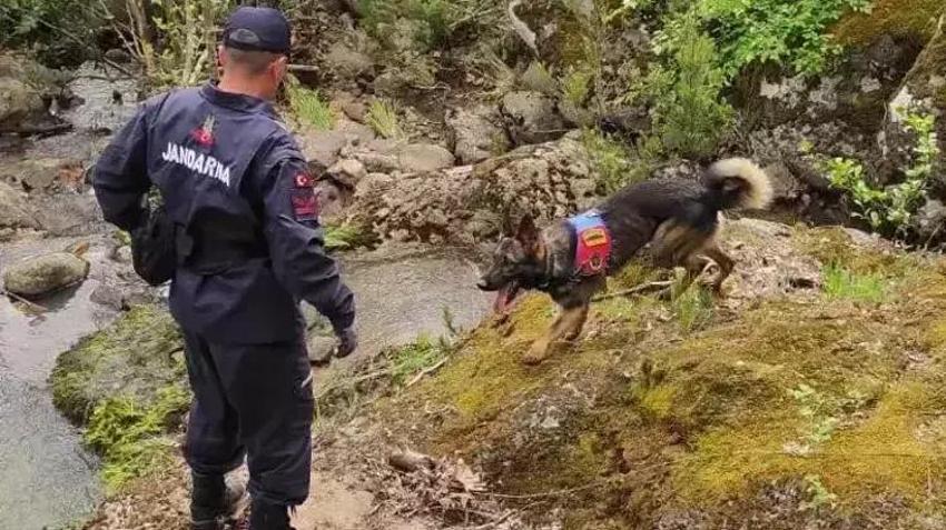 Kayıp ekonomist Berzeg'in avukatı konuştu: Kafamızda oluşan soru işaretleri var!