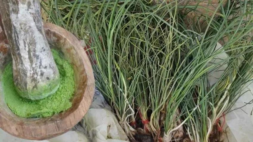 Türkiye'de ortaya çıktı! Kilosu 5 bin liraya satılıyor, şifası say say bitmiyor!