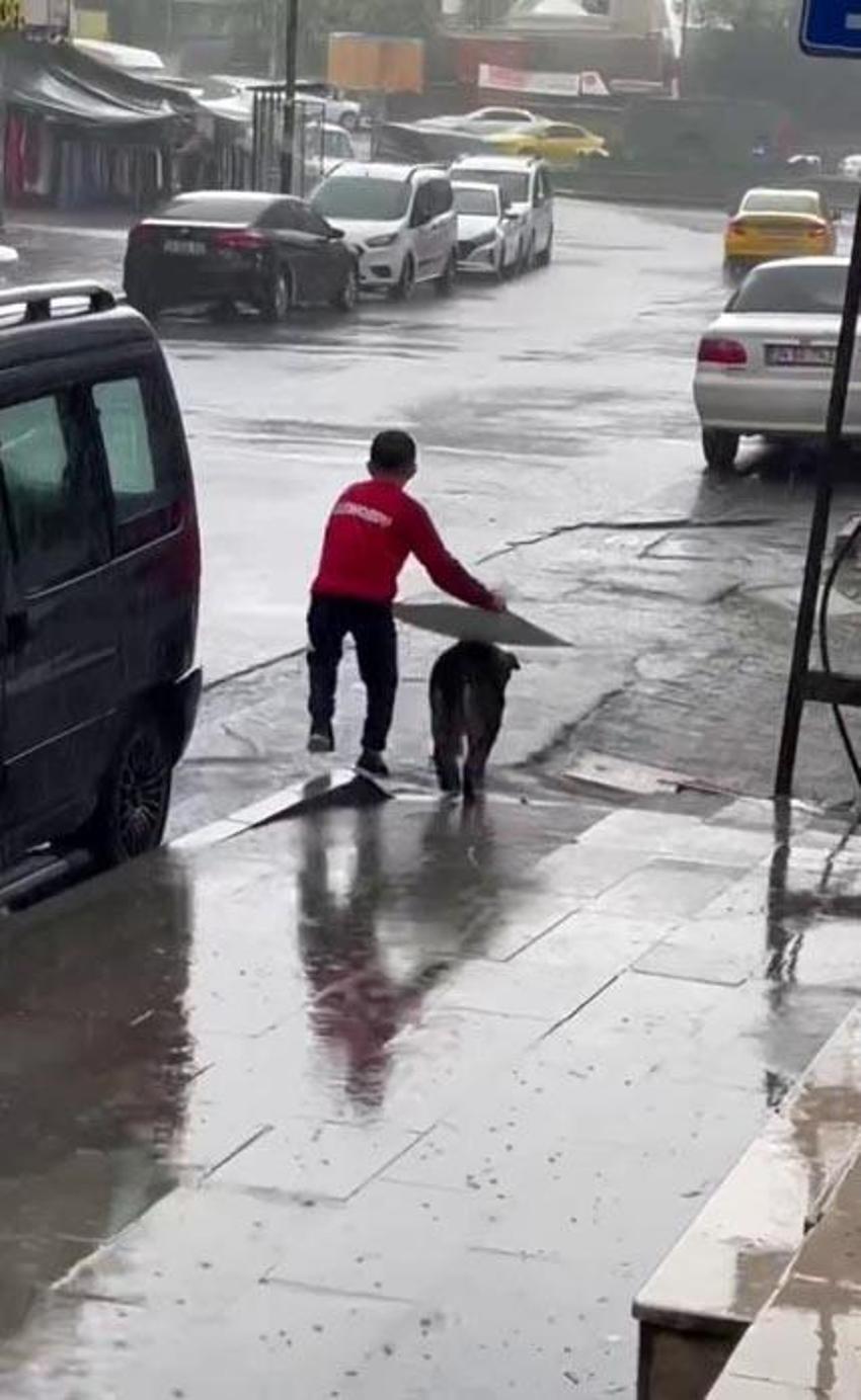 Doğu kara teslim oldu! Mayıs'ta hava sıcaklığı sıfırın altına düştü! Meteoroloji'den yeni uyarı geldi