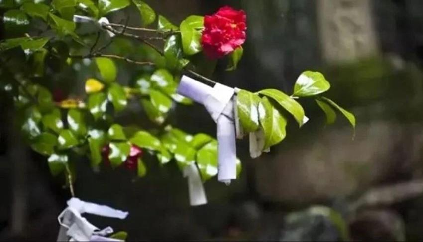 Hıdırellez için 3 mükemmel ritüel ✨Geçen sene deneyenlerin dilekleri gerçekleşiyor! Bir çay kaşığı tuz yutup yatın
