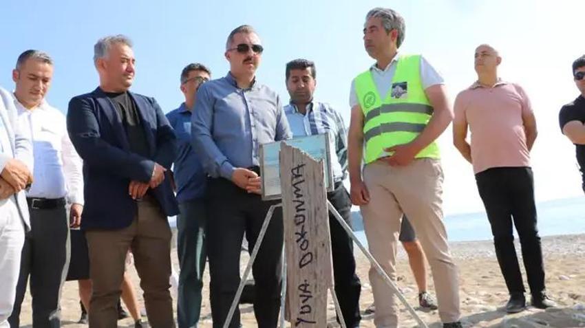 Caretta caretta kaplumbağalarının sezonu erken başladı!