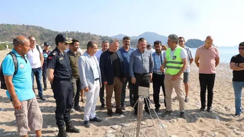 Caretta caretta kaplumbağalarının sezonu erken başladı!