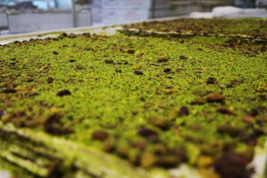 Tadına bakmak için Adana'ya akın ediyorlar! Kilosu 650 liradan satılıyor