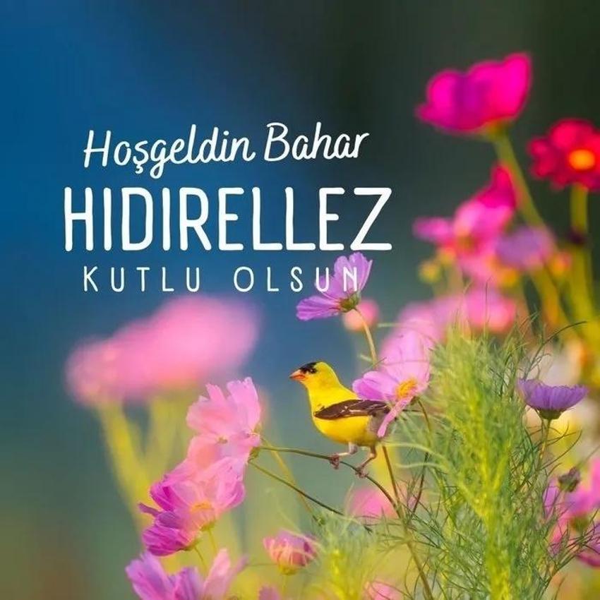 Hıdırellez mesajları ve sözleri 2025: Hıdırellez mesajları resimli ve Hoş Geldin Bahar sözleri