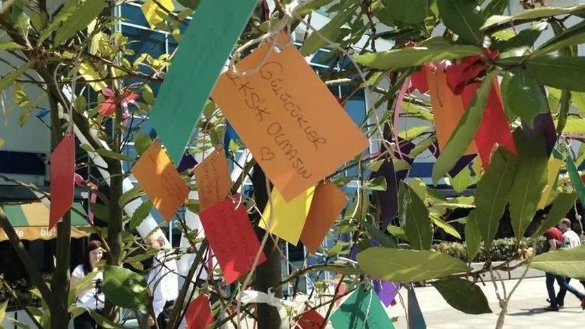 Hıdırellez mesajları ve sözleri 2025: Hıdırellez mesajları resimli ve Hoş Geldin Bahar sözleri