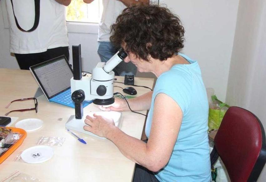 Adana'da bulundu! Tarım tarihini tamamen değiştirebilecek keşif