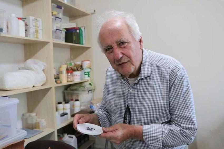 Adana'da bulundu! Tarım tarihini tamamen değiştirebilecek keşif
