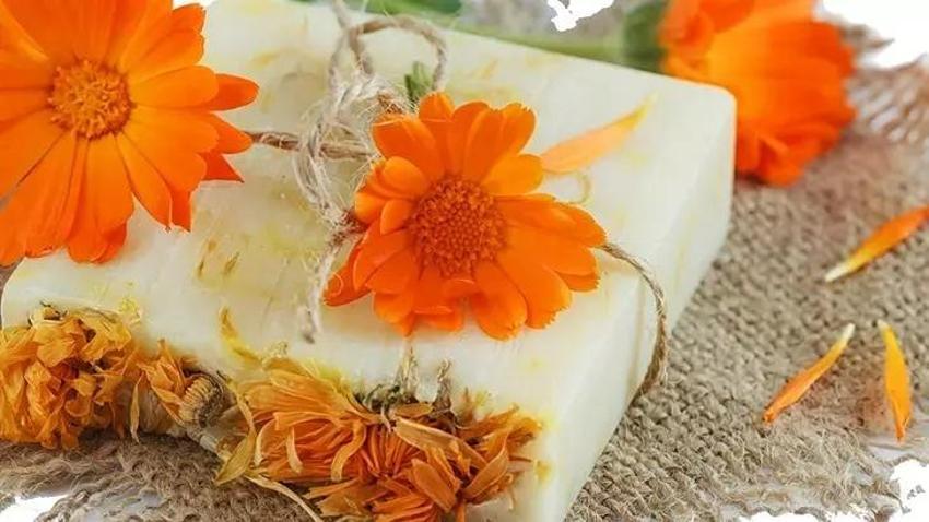 Kalabalık ailelerdeki sorun: Katı sabun mu daha hijyenik, sıvı sabun mu?
