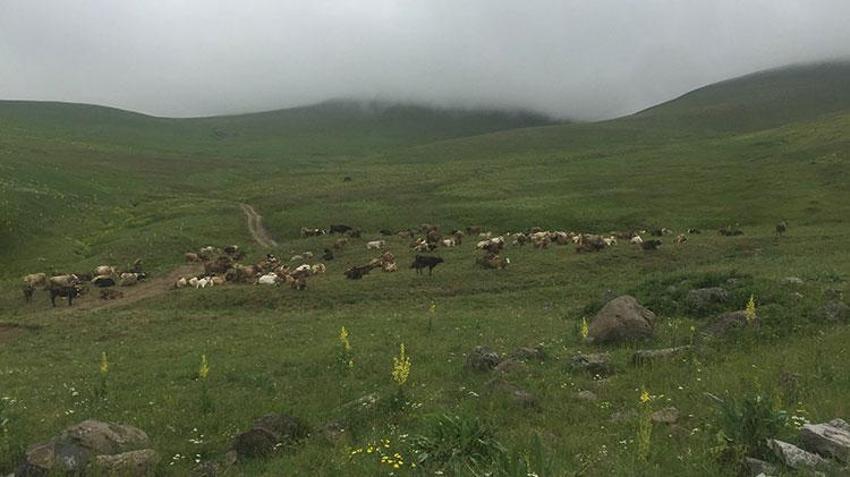 100 bin TL maaşla çalışacak eleman bulamıyorlar! 'Zor durumdayız'