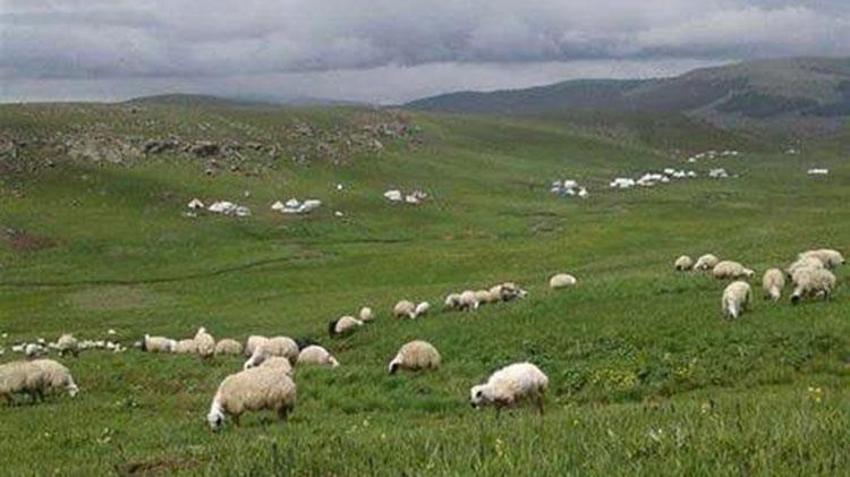 100 bin TL maaşla çalışacak eleman bulamıyorlar! 'Zor durumdayız'