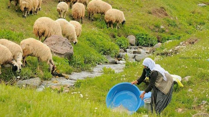 100 bin TL maaşla çalışacak eleman bulamıyorlar! 'Zor durumdayız'