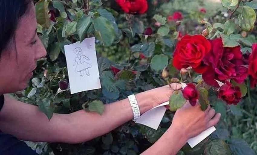Hıdırellez dileği su yoksa nasıl yapılır? 2024 Hıdırellez dilek kağıdı nasıl yazılmalı?