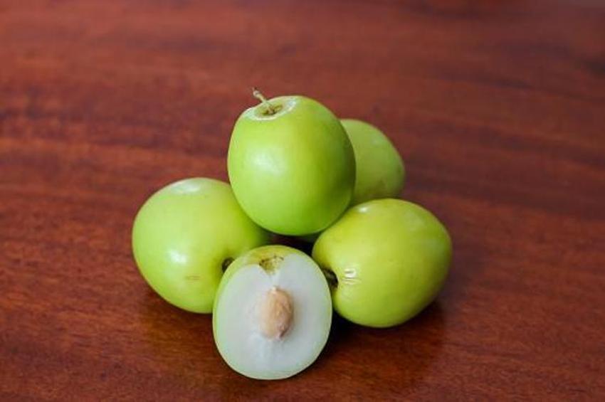 Adana'da yetişiyor! Kilo vermeden uykusuzluğa kadar her derde deva