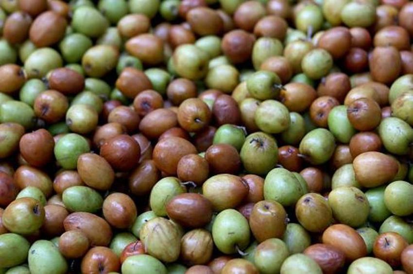 Adana'da yetişiyor! Kilo vermeden uykusuzluğa kadar her derde deva