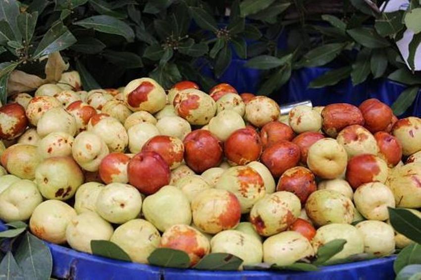 Adana'da yetişiyor! Kilo vermeden uykusuzluğa kadar her derde deva