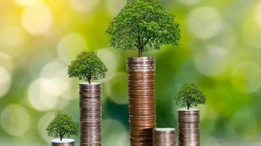 Evde besleyene para ve şans getiriyor;  Bakımı kolay bu bitki güneş ışığını sevmiyor