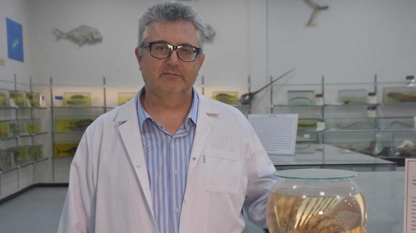 Yerlileri tehdit ediyor! İstilacı türlerin artışına neden oluyor