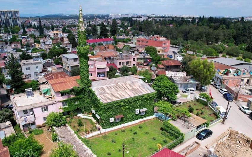 Adana'nın botanik bahçesi 'Yeşil Cami' bu sene de yeşil rengine büründü