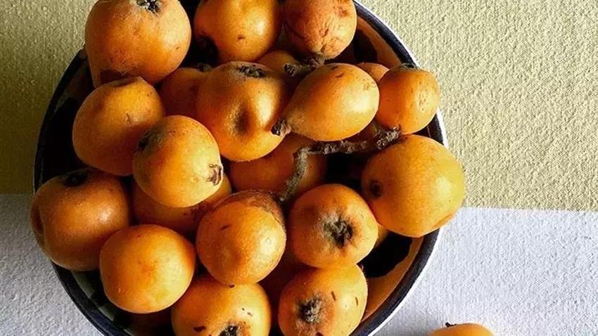 Meyvesi Çin'den, kebabı Antep'ten geliyor! Lezzetini Osmanlı saraylarından alıyor: Faydaları saymakla bitmiyor