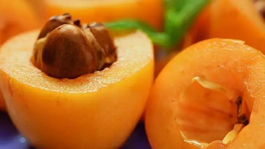 Meyvesi Çin'den, kebabı Antep'ten geliyor! Lezzetini Osmanlı saraylarından alıyor: Faydaları saymakla bitmiyor